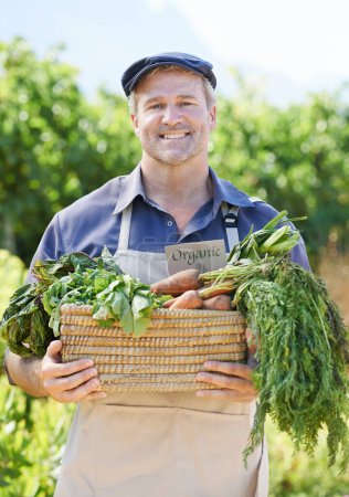Photo for Portrait, farmer or man with vegetables on countryside for harvesting, agriculture and organic food. Nature, mature male owner and small business with carrots, crops and growth in basket in Australia. - Royalty Free Image