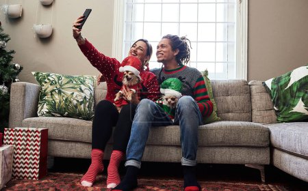 House, selfie and Christmas with couple, dogs and happiness with pet owners, picture and holiday season. Memory, man and woman with animals on couch, Xmas and social media with joy, chilling or phone.