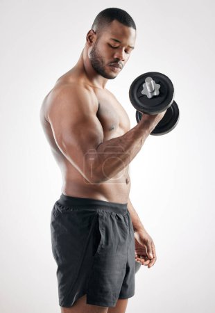 Téléchargez les photos : Workout, man and dumbbell in studio with muscles, bodybuilder and exercise on white background and wellness. Bicep, fitness and weightlifting for strength or body goal, power and serious athlete. - en image libre de droit