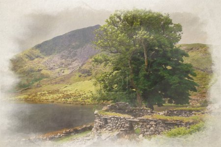 Téléchargez les photos : A digital watercolor painting of a lone tree by Llyn Dywarchen in the Snowdonia National Park, Wales, UK, with a ruined dry stone wall and farm house. The mountain y Garn is in the distance. - en image libre de droit
