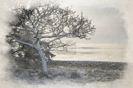 Foto de Inversión de temperatura pintura digital acuarela de Las cucarachas al amanecer durante el invierno en el Parque Nacional Peak District, Reino Unido. - Imagen libre de derechos