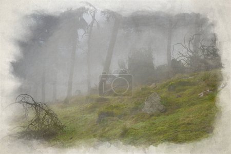 Foto de Niebla y niebla en The Roaches. Pintura digital en acuarela del bosque durante el invierno en el Parque Nacional Peak District, Staffordshire, Reino Unido. - Imagen libre de derechos