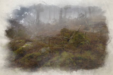 Foto de Niebla y niebla en The Roaches. Pintura digital en acuarela del bosque durante el invierno en el Parque Nacional Peak District, Staffordshire, Reino Unido. - Imagen libre de derechos
