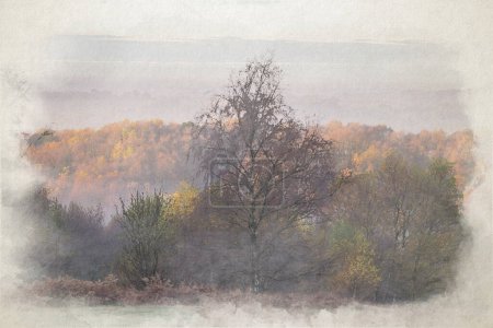 A digital watercolour painting of sunrise, and golden autumnal fall tree and leaf colours at the Downs Banks, Barlaston, Staffordshire, UK.