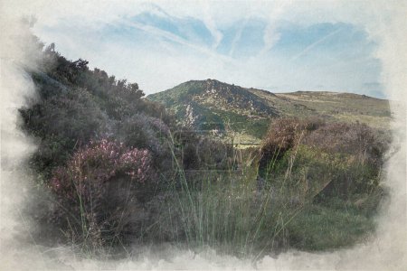 Foto de Una pintura digital en acuarela de brezo púrpura en The Roaches, Staffordshire de Hen Cloud en el Peak District National Park, Staffordshire, Reino Unido. - Imagen libre de derechos