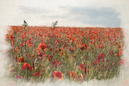 Photo for Digital watercolour painting of red poppies in a meadow at sunset in the Peak District National Park, UK. - Royalty Free Image
