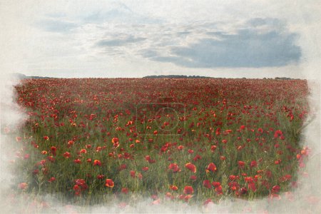 Photo for Digital watercolour painting of red poppies in a meadow at sunset in the Peak District National Park, UK. - Royalty Free Image