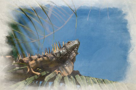 Foto de Pintura digital en acuarela de una sola iguana verde en una palmera en un entorno natural salvaje sudamericano. - Imagen libre de derechos