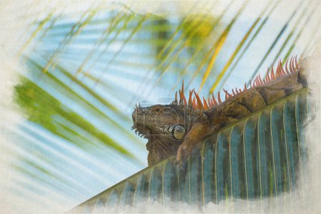 Foto de Pintura digital en acuarela de una sola iguana verde en una palmera en un entorno natural salvaje sudamericano. - Imagen libre de derechos