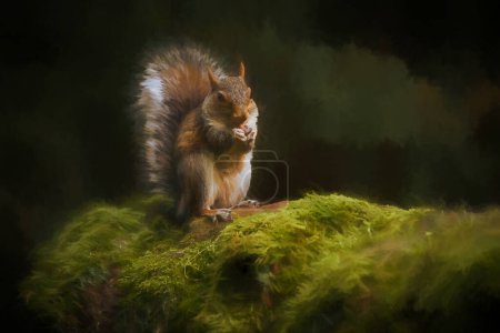 Photo for A digital illustration of a Grey Squirrel, Sciurus carolinensis sitting on a moss covered wall feeding. - Royalty Free Image