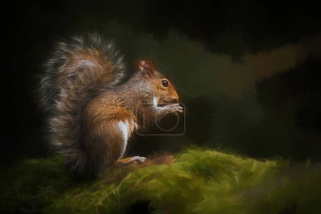 Photo for A digital illustration of a Grey Squirrel, Sciurus carolinensis sitting on a moss covered wall feeding. - Royalty Free Image