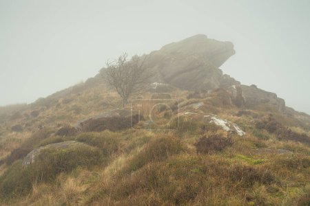 Foto de Un sombrío paisaje invernal de Gib Torr en la niebla y la niebla en el Parque Nacional Peak District. - Imagen libre de derechos