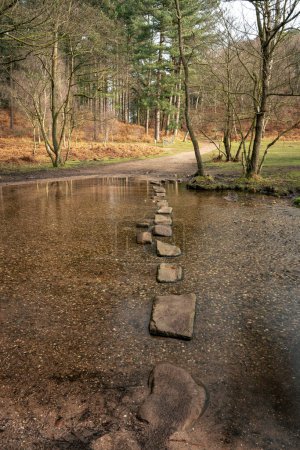 Téléchargez les photos : Les escaliers également connus sous le nom de hangmans pierres à Sherbrook Valley, Cannock Chase, Staffordshire, Royaume-Uni pendant l'hiver. - en image libre de droit