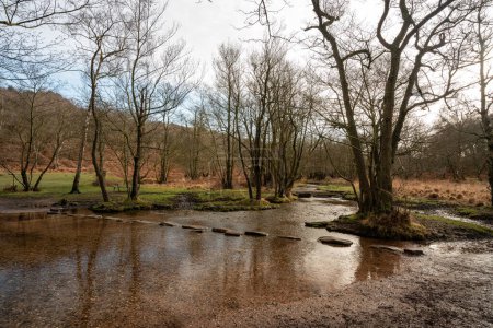 Die auch als Hangmans bekannten Trittsteine im Sherbrook Valley, Cannock Chase, Staffordshire, Großbritannien im Winter.
