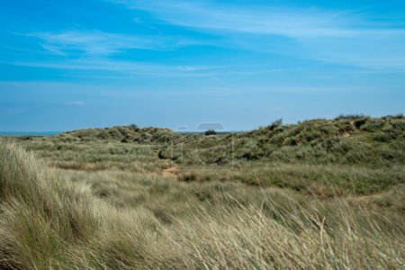 Las dunas de arena y la playa en Talacre un destino turístico popular en el norte de Gales, Reino Unido en un día de verano soleado brillante.
