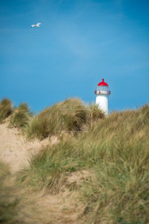 Photo for The sand dunes, and the grade II listed building Point of Ayr Lighthouse at Talacre beach in North Wales, UK on a sunny summer day. - Royalty Free Image
