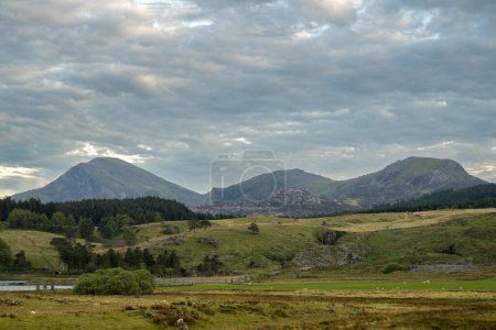 Vue panoramique de la chaîne de montagnes Hebog de Moel Hebog, Moel yr Ogof et Moel Lefn dans le parc national d'Eryri, Pays de Galles, Royaume-Uni.