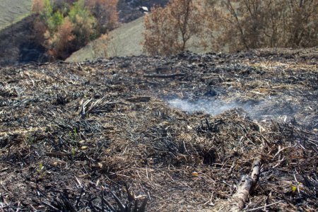 Téléchargez les photos : Image d'un sol encore brûlé avec de la fumée. Référence au problème des incendies, du changement climatique et de la sécheresse - en image libre de droit
