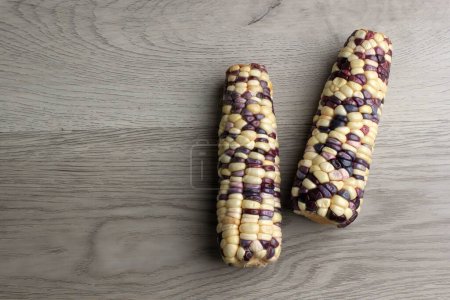 Photo for White and Purple Corn Top View with Copy Space - Royalty Free Image