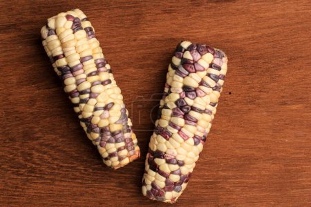 Photo for Two White and Purple Corn Top View with Blurry Copy Space. Isolated on Wooden Rustic Background - Royalty Free Image
