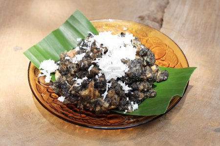 Photo for Gathot or Gatot, Indonesian Traditional Food Made from Sun Dried Fermented Cassava, Topping with Grated Coconut. Steamed and Eat for Rice Subtitute - Royalty Free Image