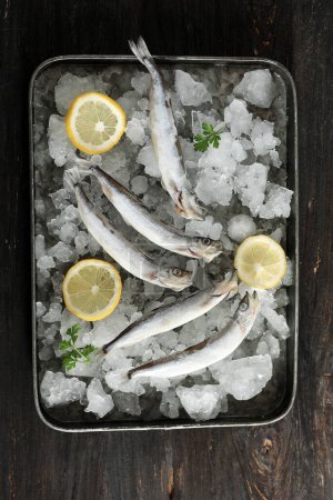 Téléchargez les photos : Capelan de hareng de poisson cru sur une planche de bois sombre avec du citron et du sel rose - en image libre de droit