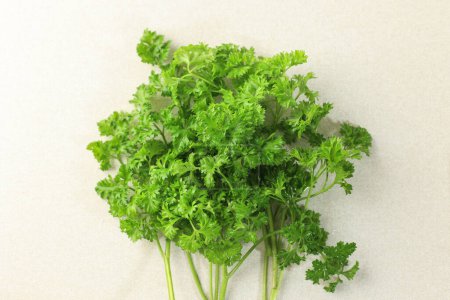 Bunch of Fresh Parsley isolated on White, Top View