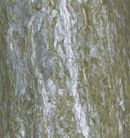 Foto de Ilustración realista de un primer plano de corteza de pino. Textura de Pinus strobus o tronco de pino de Weymouth. Fondo de madera viva. Piel de la naturaleza del bosque. - Imagen libre de derechos