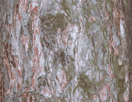 Foto de Ilustración realista de un primer plano de corteza de pino. Textura de Pinus strobus o tronco de pino de Weymouth. Fondo de madera viva. Piel de la naturaleza del bosque. - Imagen libre de derechos
