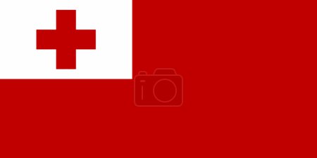 Photo for Flag of the Kingdom of Tonga in the form of a background. - Royalty Free Image