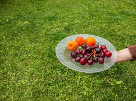 Téléchargez les photos : Une main tient une assiette de fruits et de baies sur un fond de végétation verte. - en image libre de droit