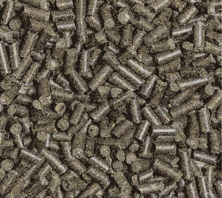 Téléchargez les photos : Illustration de fond Senna alexandrina sec en granules. L'herbe de séné est utilisée comme laxatif en médecine populaire. Le concept de traitement à base de plantes. - en image libre de droit