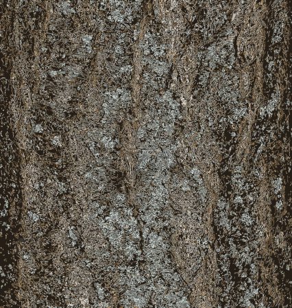 Foto de Ilustración de fondo de corteza de ciruelo - Nombre latino - Prunus cerasifera. - Imagen libre de derechos