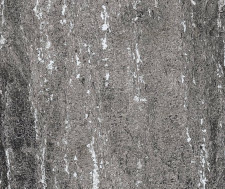 Téléchargez les photos : Illustration de gros plan sur l'écorce de pin. Texture du tronc de pin de Weymouth ou Pinus strobus. Fond de bois vivant. Peau de la forêt nature. - en image libre de droit