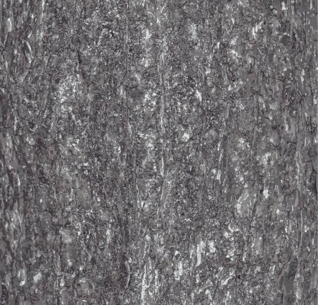 Foto de Ilustración de textura de corteza de avellana turca o Corylus colurna. Fondo de la naturaleza de cuero natural. - Imagen libre de derechos