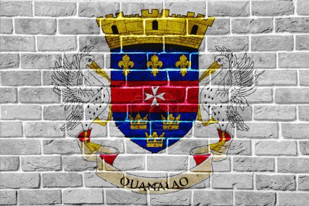 Flag and coat of arms of Saint Barthelemy textured background. Concept collage.