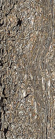 Illustration du fond et de la texture de l'écorce d'arbre Pistacia vera.