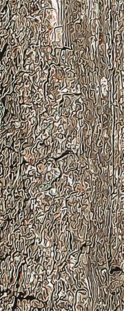 Illustration of Pistacia vera tree bark background and texture.