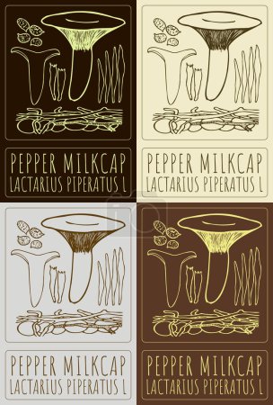Conjunto de dibujo PEPPER MILKCAP en varios colores. Ilustración hecha a mano. El nombre en latín es LACTARIUS PIPERATUS L.