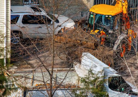 A bulldozer collects branches after pruning trees.