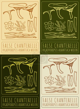 Set of drawing FALSE CHANTERELLE in various colors. Hand drawn illustration. The Latin name is HYGROPHOROPSIS AURANTIACA WULFEN.