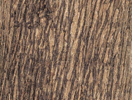 Illustration for Vector illustration of Texture of Juniperus virginiana bark. Old juniper tree skin background. - Royalty Free Image