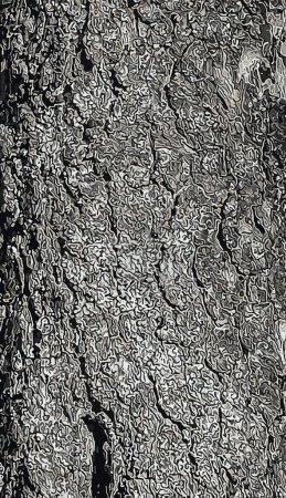 Vector illustration of Pistacia vera tree bark background and texture.