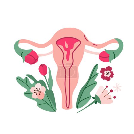Illustration for Uterus organ reproductive system with flowers, female nature. Womens symbol. Women health care, gynecological problems vector illustration. - Royalty Free Image
