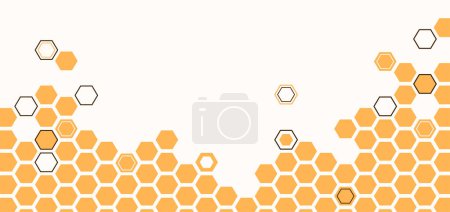 Téléchargez les illustrations : Illustration vectorielle de bannière en nid d'abeille. Le miel d'abeille forme la texture. Peigne en nid d'abeille avec cadre en cire d'abeille dans un style plat moderne simple. - en licence libre de droit