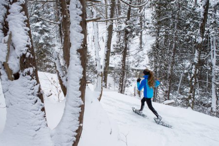 Téléchargez les photos : Belle femme en raquettes dans la neige en hiver au Canada. - en image libre de droit