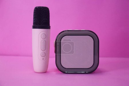 Coolster Kraftvoller Karaoke-Lautsprecher für Musikliebhaber