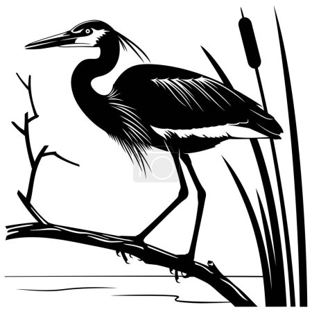 Silhouette of Heron standing on a branch. Black and white stencil vector illustration. Bird, branch, reeds and water are separate objects.