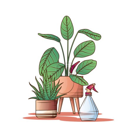 Illustration for Calathea, haworthia and watering sprayer. Isolated vector illustration of houseplants. Flower shop, potted plant and home garden concept. - Royalty Free Image