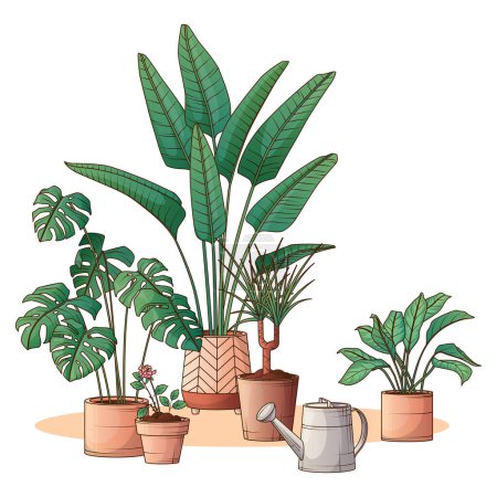 Composition of different houseplant. Vector illustration of monstera, strelitzia, aglaonema. Hand-drawn illustration of dracaena plant. Interior, flower shop, home garden concept. Potted pants